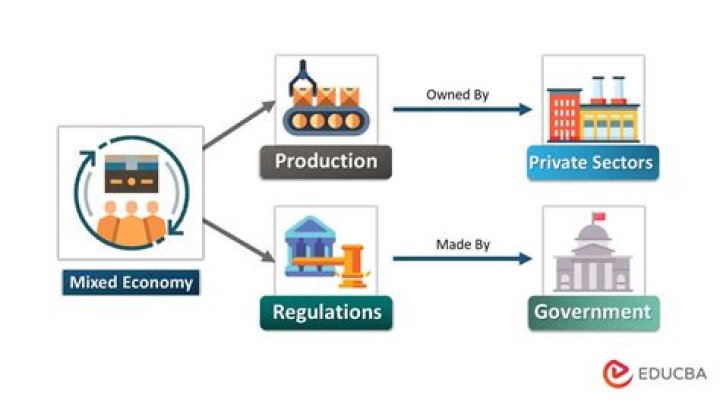 What economic system does not like government interference?