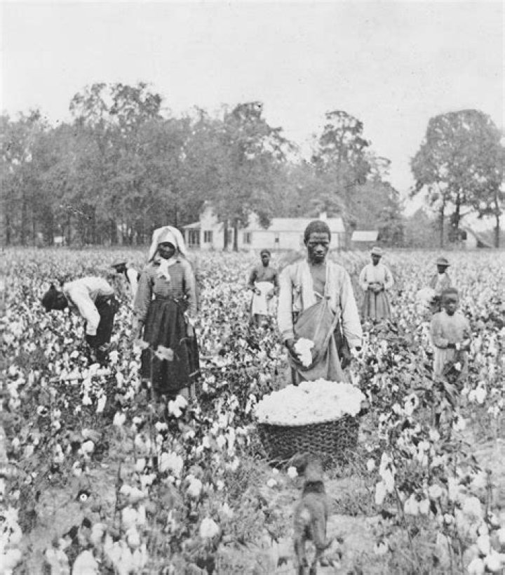 What effect did the system of sharecropping have on the South?