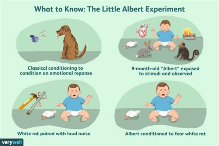 What ever happened to Little Albert?