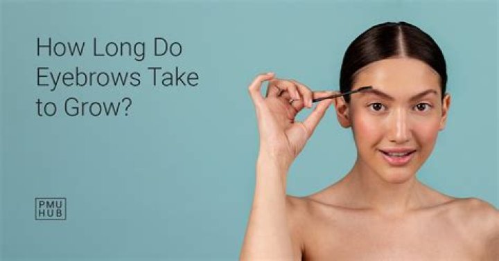 What evolutionary purpose do eyebrows serve?