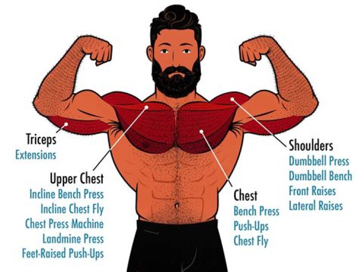 What exercises build upper chest?