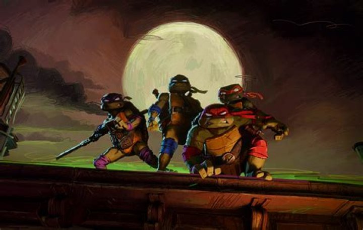 What fighting style does the Ninja Turtles use?