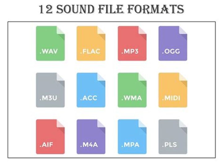What file format does Windows Media Center record in?