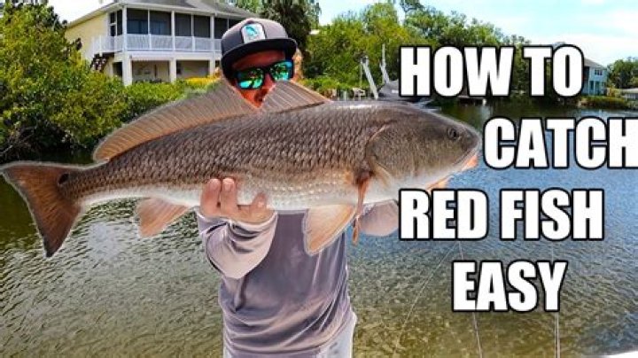 What flies do you use for redfish?