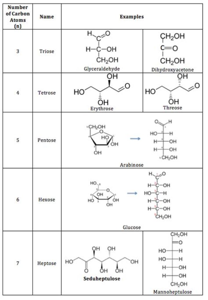 What functional group is most common in a monosaccharide?
