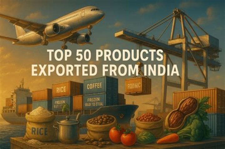 What goods are exported from India to Pakistan?