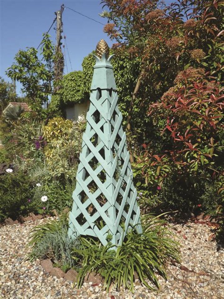 What grows on a obelisk trellis?