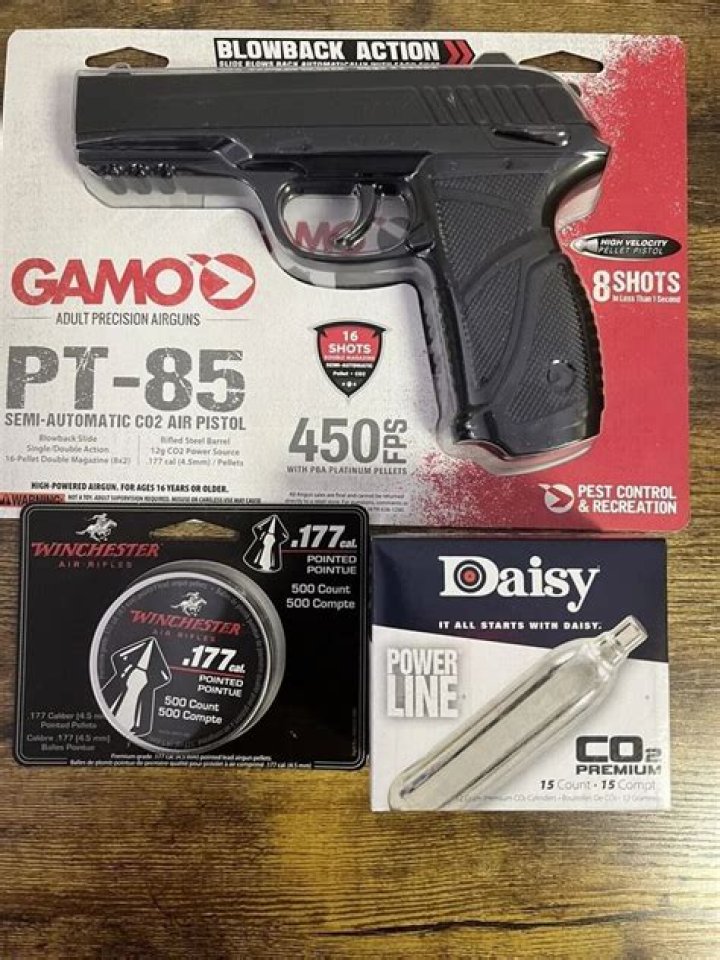 What gun is the PT 85 modeled after?
