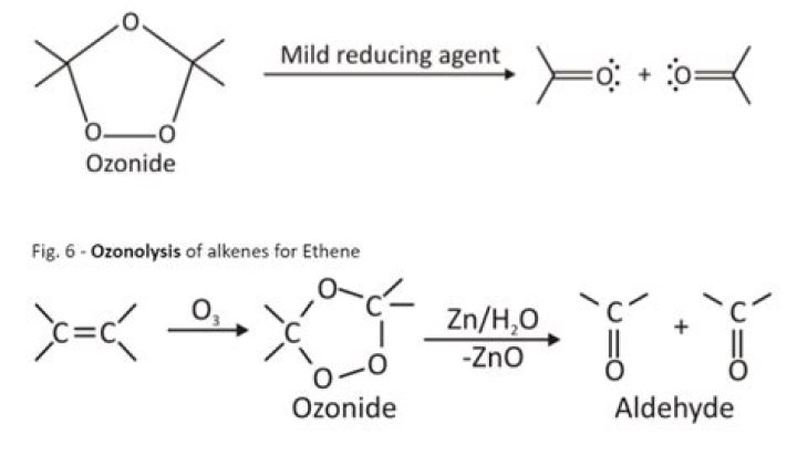 What happen when 2 butene undergoes ozonolysis?