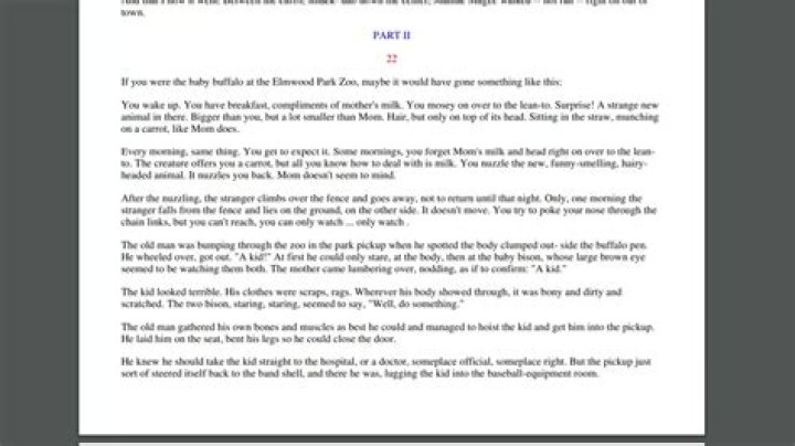 What happened in Maniac Magee Chapter 22?