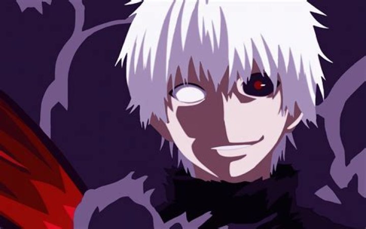 What happened to Ken Ssbm?
