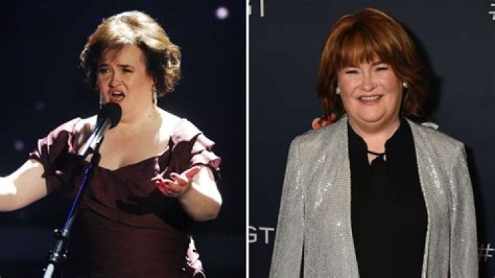 What happened to Susan Rothenberg?