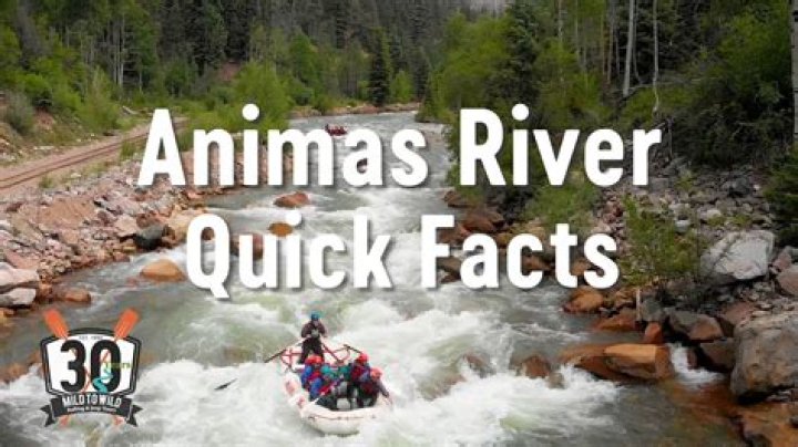 What happened to the Animas River?