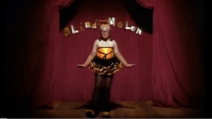 What happened to the Bee Girl in the music video?