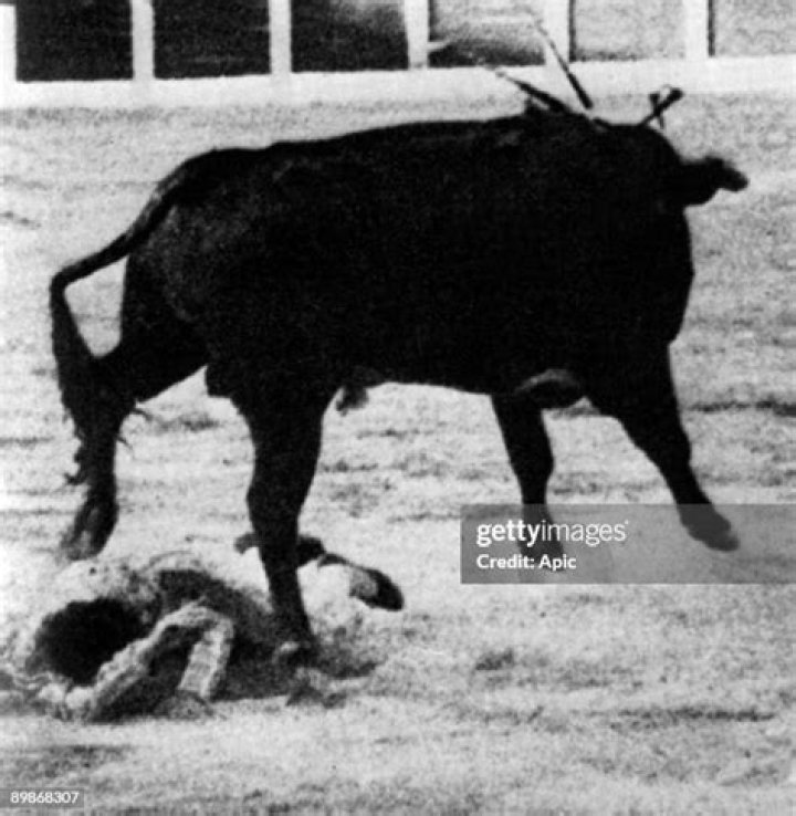 What happened to the bull that killed Manolete?