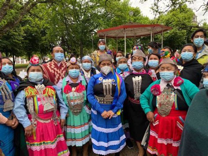 What happened to the Mapuche tribe?