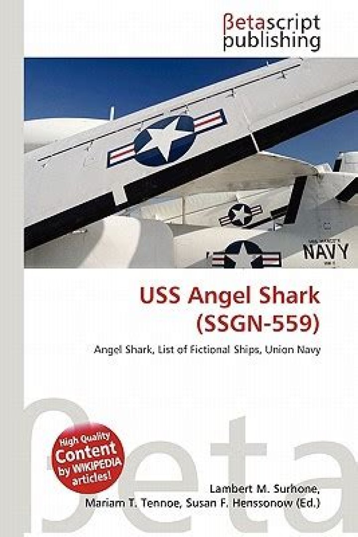 What happened to the USS angel shark?