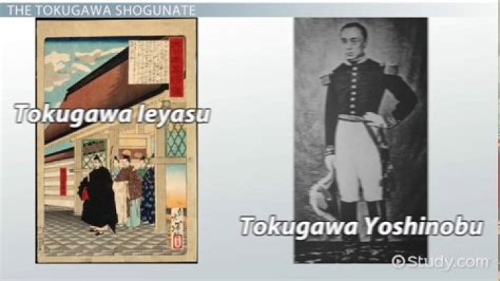 What happened to Tokugawa?