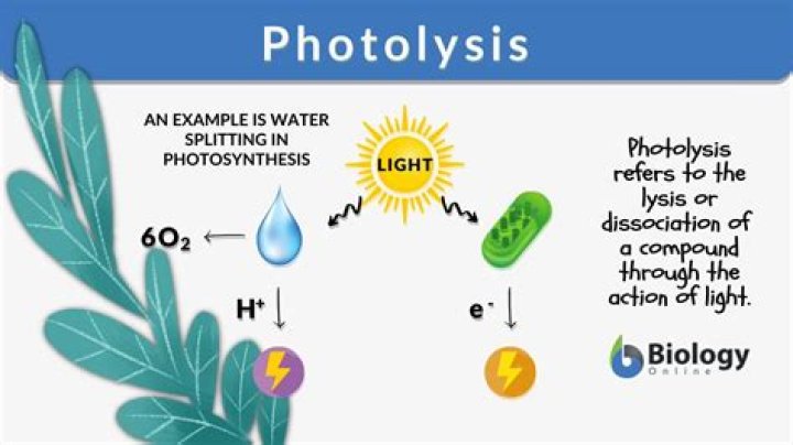 What happens during photodissociation?
