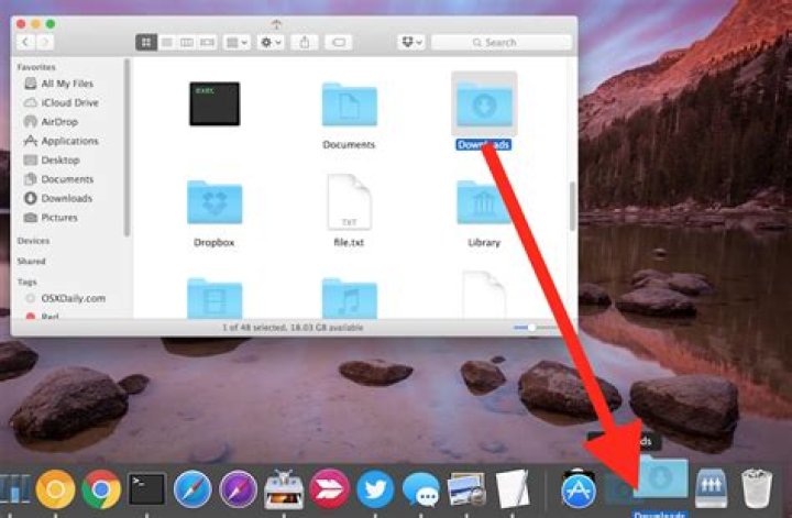 What happens if I delete everything in my Downloads folder Mac?