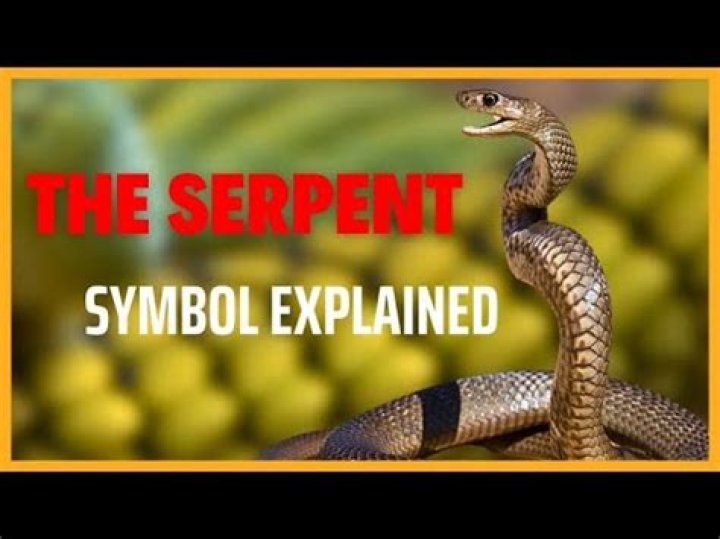 What happens in embrace of the serpent?