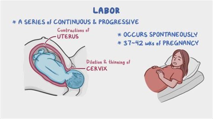 What happens in the Labour Ward?