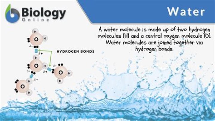 What happens to water when you wring out a washcloth in outer space why does this happen how do these properties of water allow life to exist?