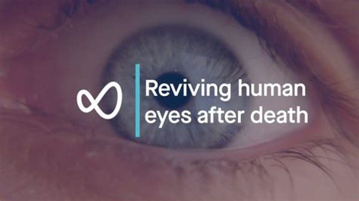 What happens to your eyes when your lying?