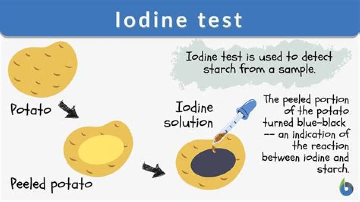 What happens when iodine is added to starch and amylase?