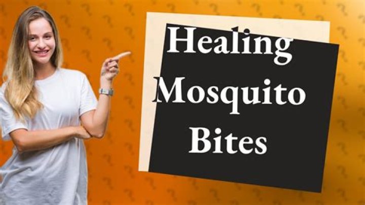 What heals mosquito bites quickly?