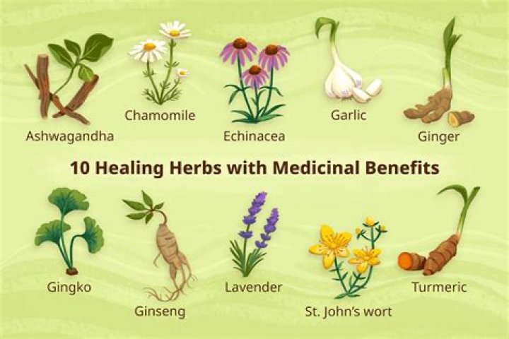 What herbs are high in testosterone?