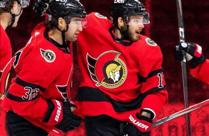 What hockey team wears red and black?