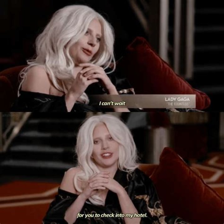 What hotel did they use in AHS hotel?
