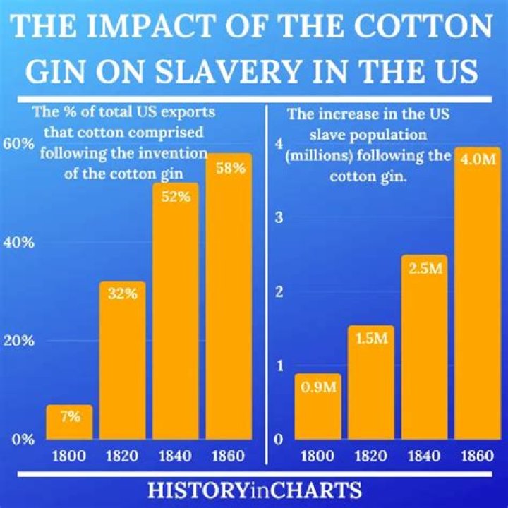 What impact did cotton have on the economy of the south?