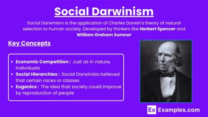 What impact did Social Darwinism have on society?