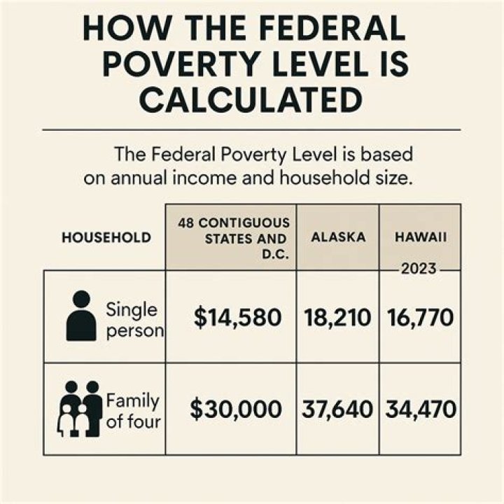 What income level is considered below poverty?