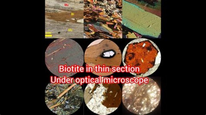 What industry is BioLite in?