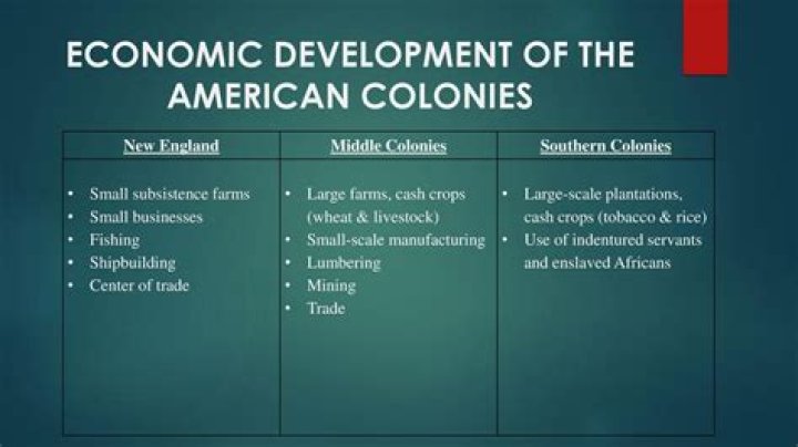 What influenced the economic development of the colonies?