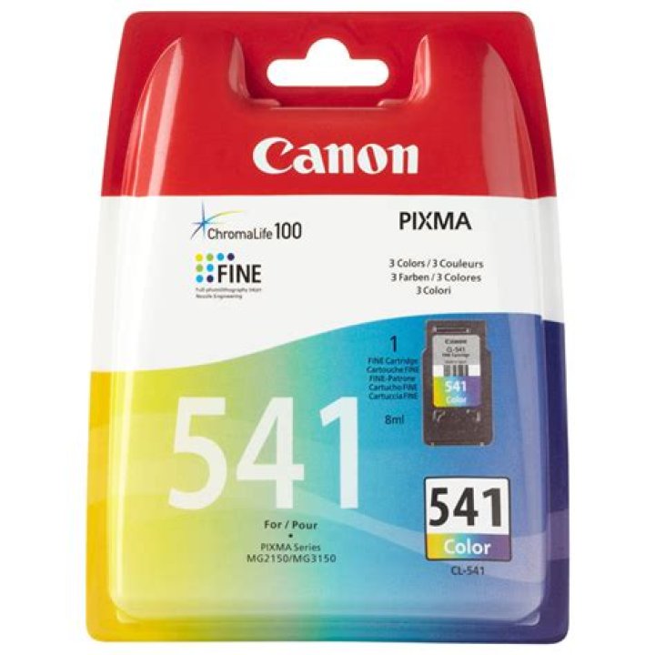 What ink does a Canon MG4250 take?