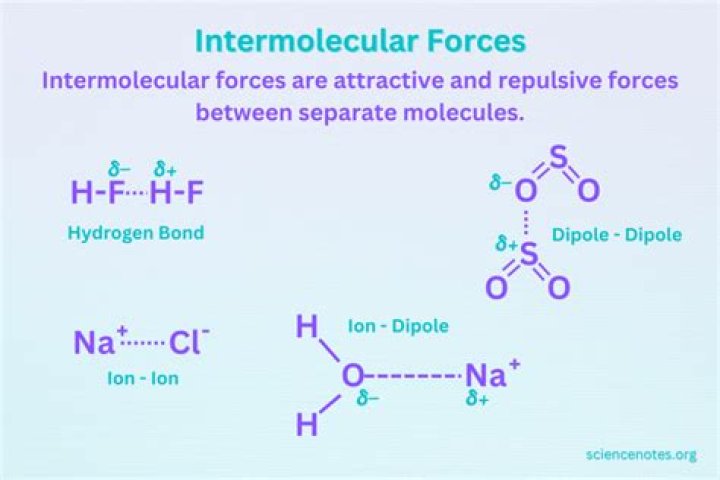 What intermolecular forces are present in 1-propanol?