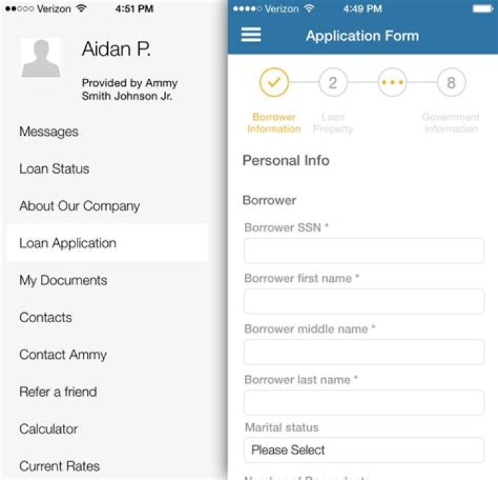 What is a 1003 application form?