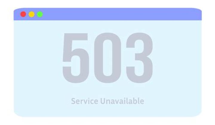 What is a 503 company?