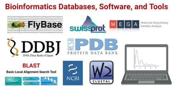 What is a bibliographic databases in bioinformatics?
