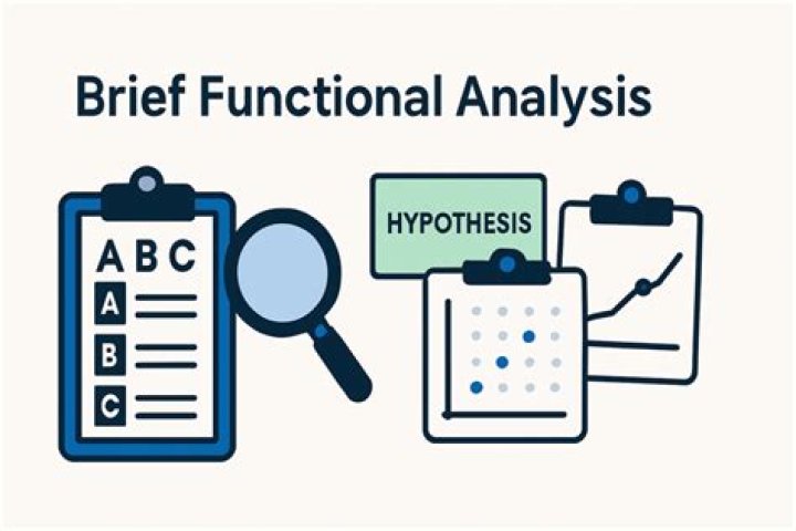 What is a brief functional analysis?
