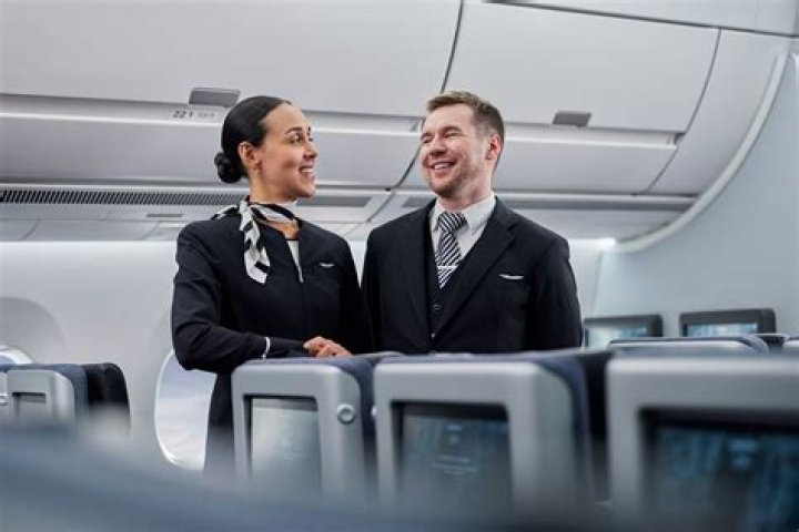 What is a cabin crew trainee?