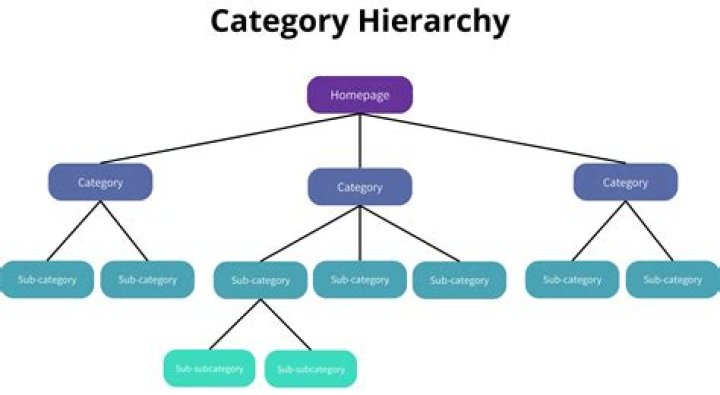 What is a category 4 language?