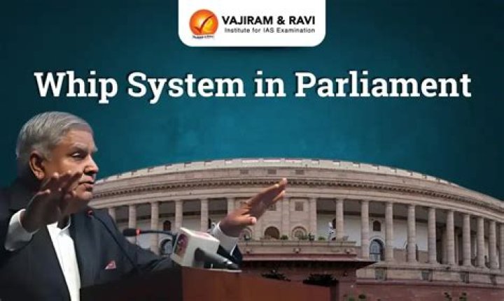 What is a chief whip in parliament?