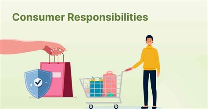 What is a consumer in the economy?
