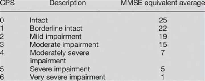 What is a CPS initial assessment?