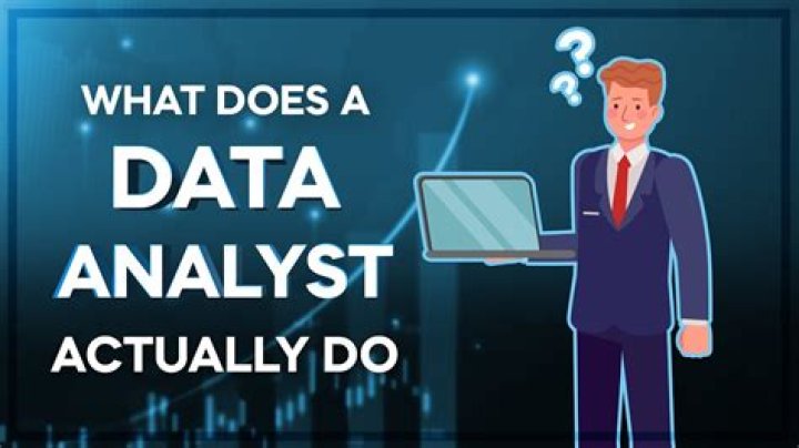 What is a data support analyst?
